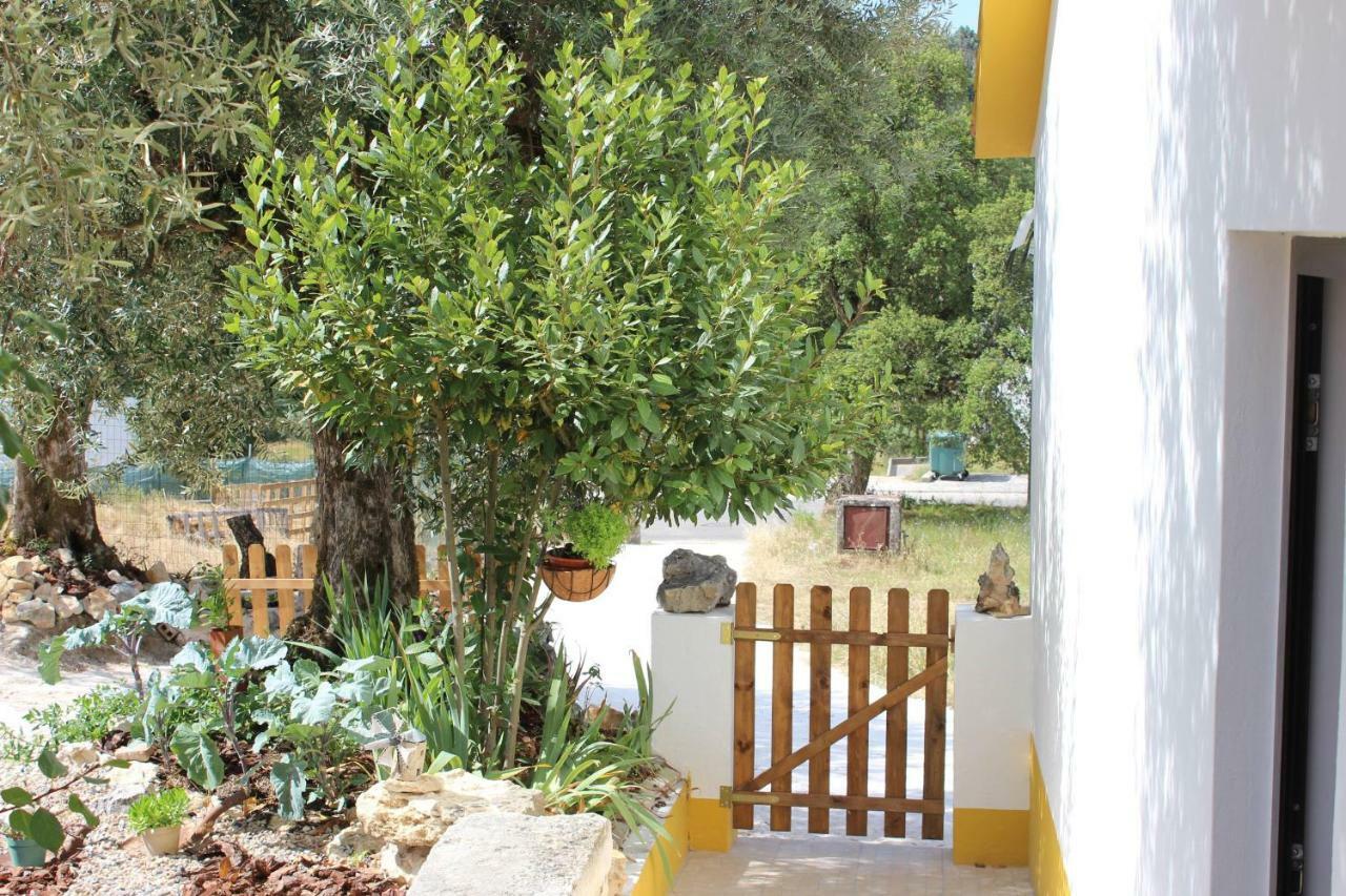 Turismo Rural Casa Da Ceu Amiais de Cima Exterior photo